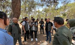 Orman Ürünlerinde Usulsüzlüğe Karşı ORKOD Sistemi