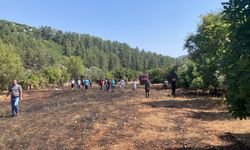 Arazi Yangını Korkuttu, Ekipler Zamanında Müdahale Etti