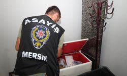 Aranan Şahıslara Yönelik Operasyon: 81 Kişi Yakalandı