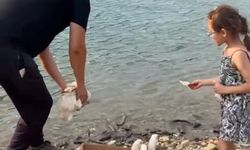 Baba Kızdan Örnek Davranış