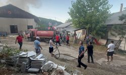 Trafodaki Tellere Temas Eden Sincap, 1 Depo İle 2 Dönümlük Araziyi Küle Çevirdi