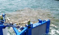 Büyükşehir'den deniz temizliği