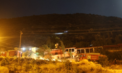 Romantik Anlar Felakete Dönüşüyordu: Havai Fişek Yangına Sebep Oldu