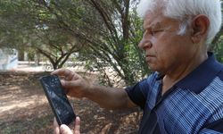 Asılsız Dev Köpekbalığı Paylaşımına Suç Duyurusu