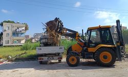 Moloz Ve Yabani Ot Temizliği