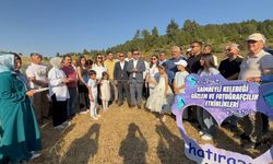 Saimbeyli Mavi Kelebeği Fotoğraf Tutkunlarının Gözdesi Oldu