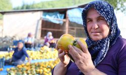 Kahramanmaraş’ta Trabzon Hurması Kurutma Tesisi Kuruluyor