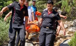 Kahramanmaraş’ta Ekşi Toplarken Hayatını Kaybetti