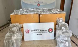587 Kilogram Esrar Ele Geçirildi