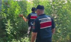 Uyuşturucu Operasyonu: 8 Gözaltı