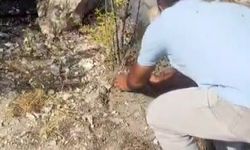 Avuçlarına Doldurdukları Toprakla Yangını Söndürmeye Çalışan Vatandaşlar Takdir Topladı