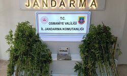Bir Haftada 121 Şüpheli Yakalandı