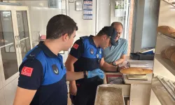 Gıda güvenliği için sıkı denetim