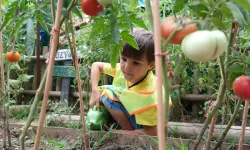 Lokomotif Çocuk Köyü'nde hasat sevinci