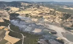 Orman yangını kontrol altındd