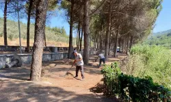Piknik Alanı'nda kapsamlı temizlik