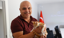Çaya Düşen Yavru Kediyi Ekipler Kurtardı