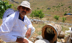 Kahramanmaraş’ta Ağaç Kütüğünde Doğal Bal
