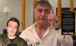 Sedat Peker'den Kahramanmaraşlı Sanatçıya Yanıt