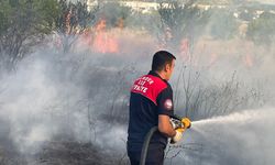 Arazi Yangınında 50 Dönüm Alan Zarar Gördü