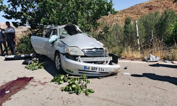 Kahramanmaraş’ta Ehliyetsiz Sürücü Ağaca Çarptı: 3 Yaralı