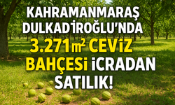 Kahramanmaraş Dulkadiroğlu’nda ceviz bahçesi icradan satışa çıktı: İşte fiyatı