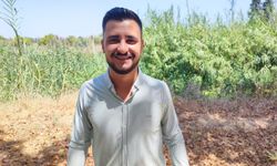 Domuzlar Girdi, Vatandaş Havlayarak Kovaladı