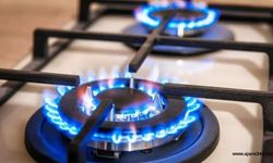 Ekinözü ve Nurhak'a Doğalgaz Müjdesi