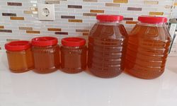 Kahramanmaraş’ın Binboğa Yaylalarından Sofralara Gelen Lezzet