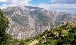 Kahramanmaraş’ta O Dağlar Şifalı Bitkilerin Yuvası