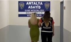 Orman Mühendisinden 8,5 Milyonluk Vurgun