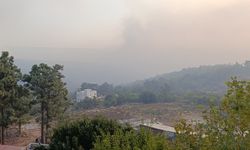 Orman Yangını 2. Gününde