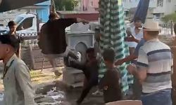 Pazar Yerinde Tekme Tokat Kavga