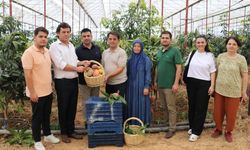 Türkiye’de Tropikal Meyve Üretiminde Yeni Dönem