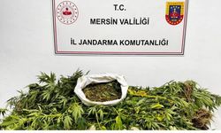 Uyuşturucu Operasyonu