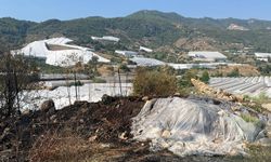 Otluk Alanda Çıkan Yangın Büyümeden Söndürüldü