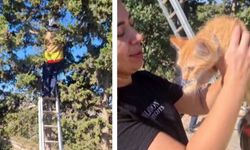 Ağaçta Mahsur Kalan Kedi İtfaiye Tarafından Kurtarıldı