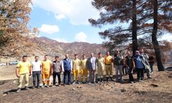 Başkan Toptaş, Çamlıbel-Çakırdere’deki Mühürleme Çalışmalarını Yerinde İnceledi
