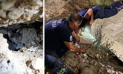 Beton Boruya Sıkışan Kedi İtfaiyenin Çabasıyla Kurtarıldı