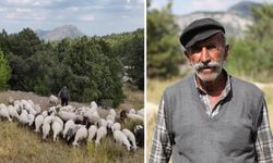 Çobanlık Onun İçin Hem Geçim Hem Yaşam Biçimi