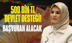 500 bin TL devlet desteği! TC kimlik numarasıyla başvuru yeterli
