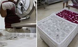 Ejder meyvesi kurutularak iç ve dış pazara sunuluyor