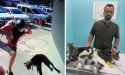 Hayvana Şiddet Olayında Şüpheli Cezaevine Gönderildi