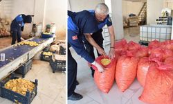 Hijyen Dışı Ortamda İşlenen 1,5 Ton Patates İmha Edildi