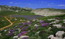 Kahramanmaraş'ın Doğal Güzelliği: Karagöl Yaylası