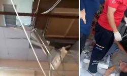 Kahramanmaraş’ta Bir Marketin Asma Tavanı Çöktü: 1 Yaralı