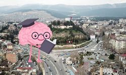 Kahramanmaraş’ta IQ Ortalaması Kaç? İşte Cevabı