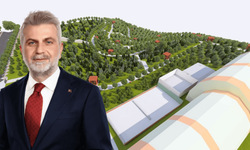 Kahramanmaraş’ta Geleceğe Yeşil Miras: Karbon Yutak Alanı