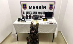Jandarma, Uyuşturucu Ticareti Yapan Şüpheliyi Suç Unsurlarıyla Birlikte Yakaladı