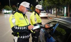 Mesire Alanlarında Trafik ve Güvenlik Kontrolleri